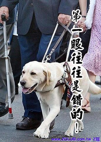 護主的忠犬.jpg