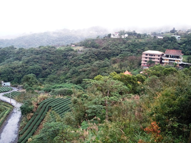 照片021.jpg