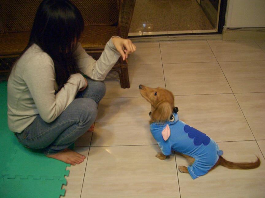11.JPG