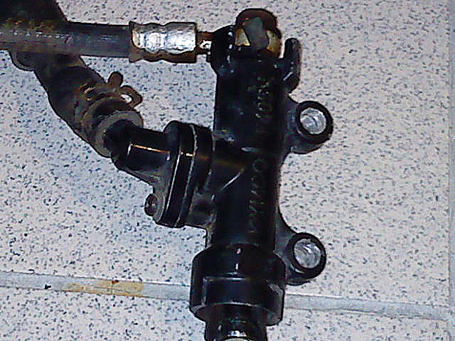 DSC02204.JPG