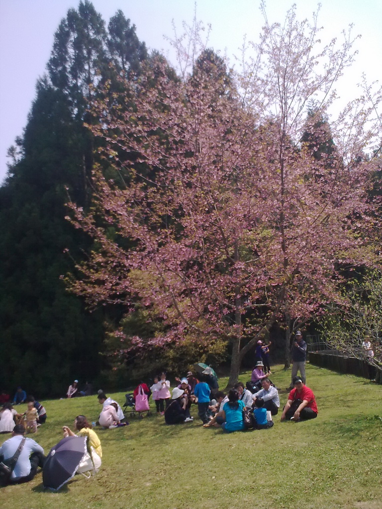 20100321_010_調整大小.jpg