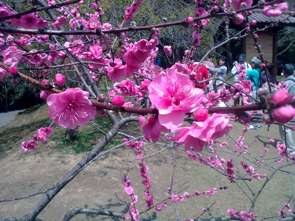 20100321_014_調整大小.jpg