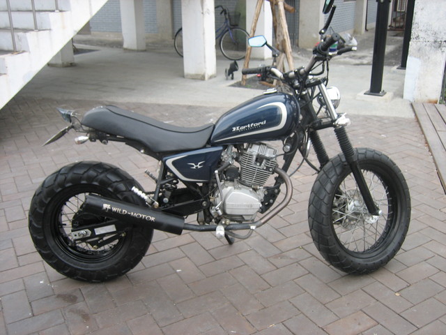 TW225豹.jpg