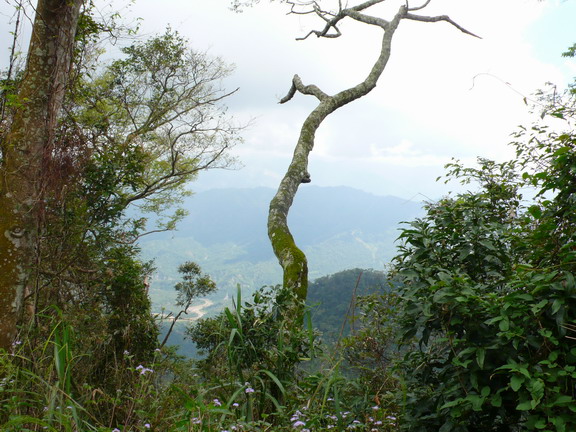 後山一景