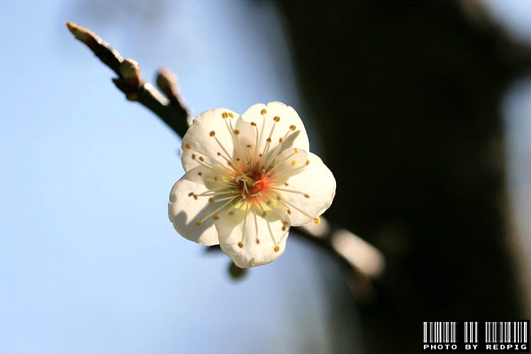 IMG_4720.JPG