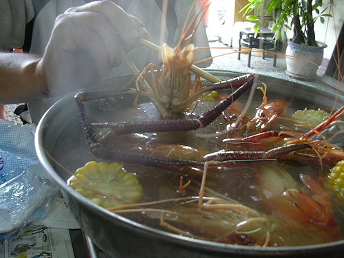 ap_F23_20081117091145474.jpg